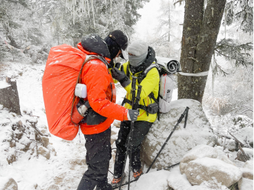 1765328131513369.png image.png