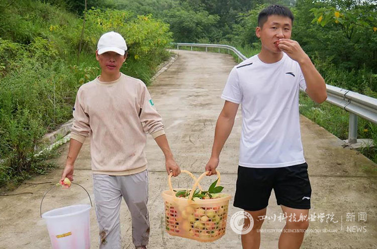 新闻网水印5.jpg