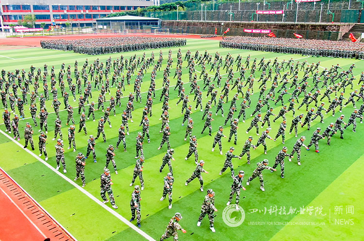 04.jpg