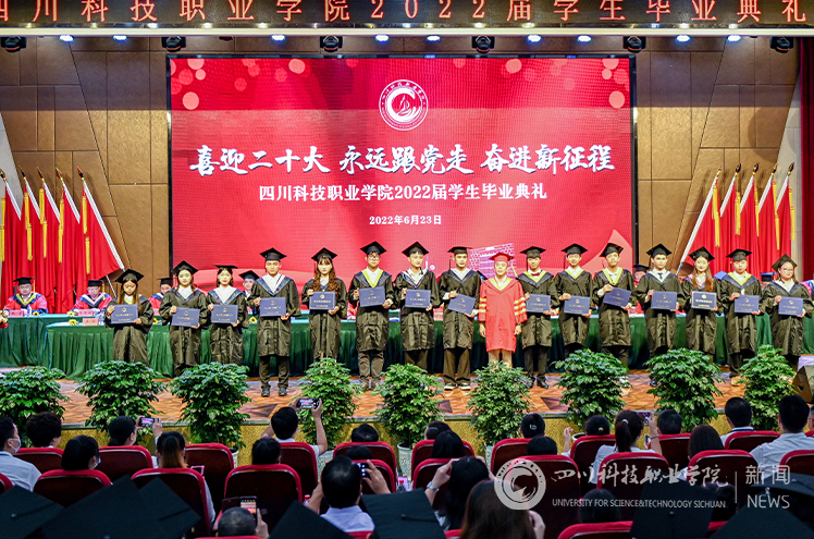 钻士学位.png