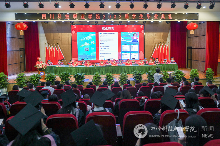 就业锦囊.png