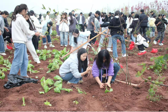 1763114564116530.png image.png