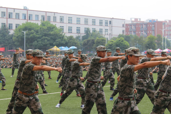 图为男子拳术表演.jpg